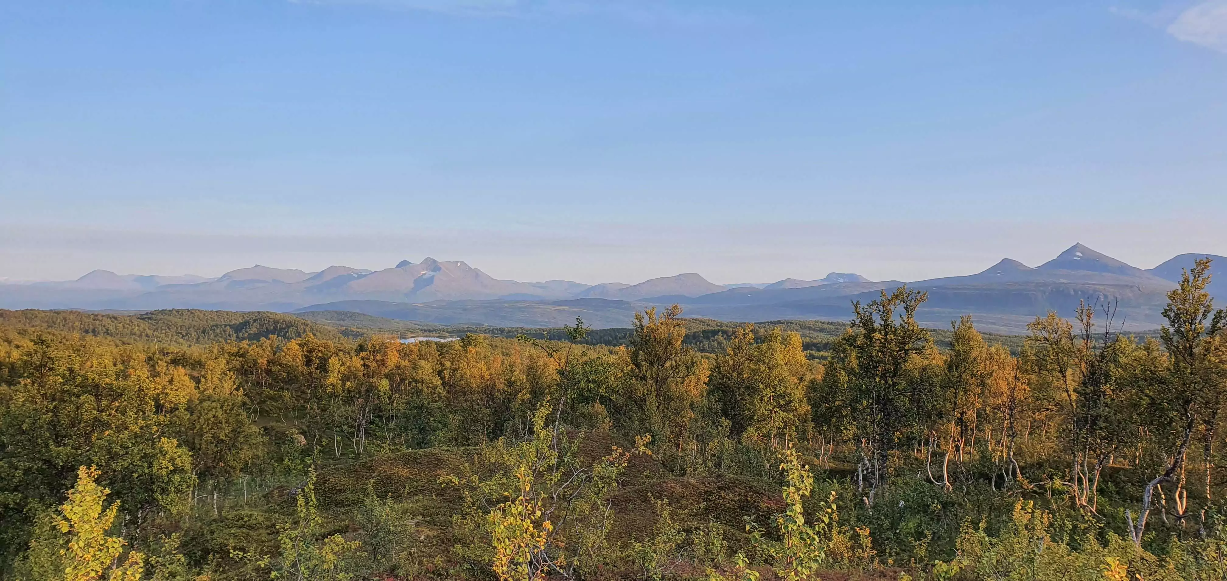 image from Local runs