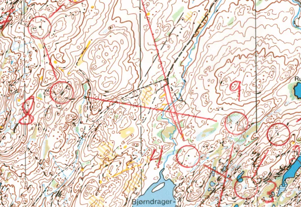 image from Langonetta 8.6 km